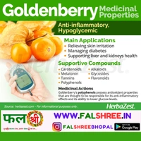 Golden Berry - 1KG