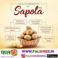 SAPOTA (�??��?�??��?) - 1kg