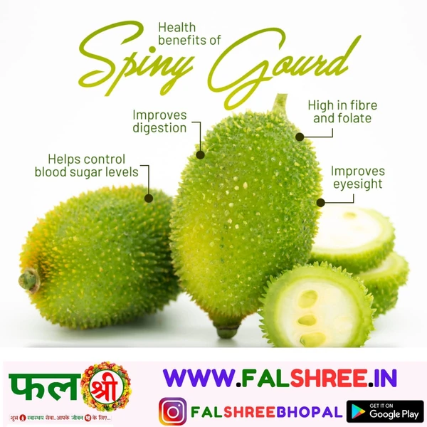 Spiny Gourd (कटोला)