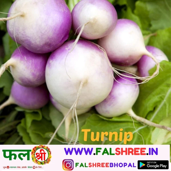 TURNIP (शलजम) - 250