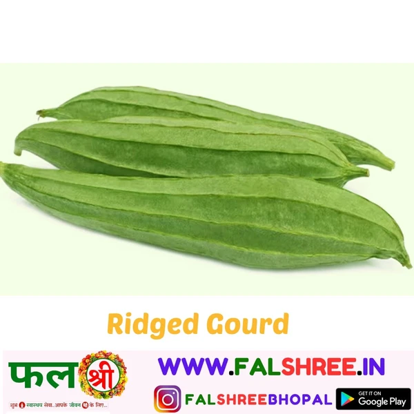 RIDGED GOURD (तोराई) 