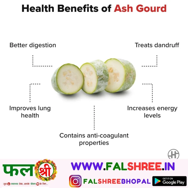 ASH GOURD (राख लौकी)