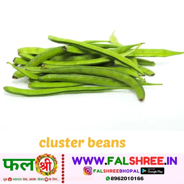 CLUSTER BEANS (गवार फल्ली) - 1KG