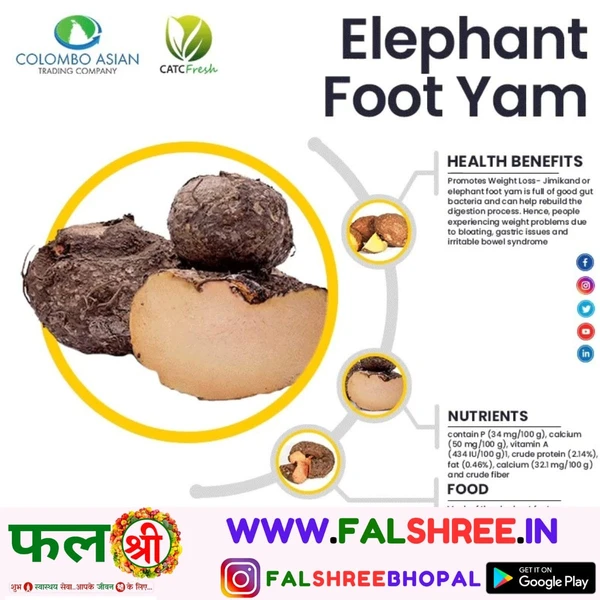 Elephant Food Yam - 500g