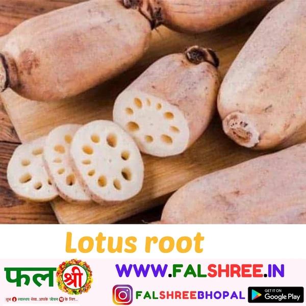 Lotus Root  - 2KG