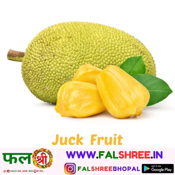 JACK FRUIT (कटहल) - 250g