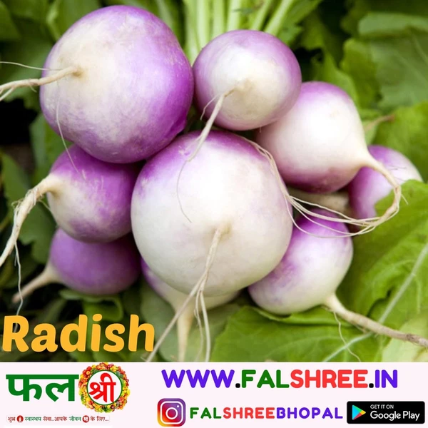 RADISH (मुली) - 3