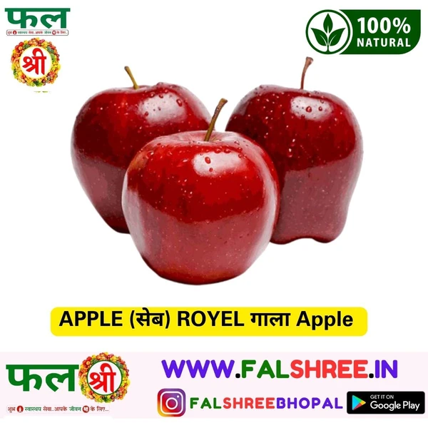 APPLE (सेब) ROYEL गाला Apple 