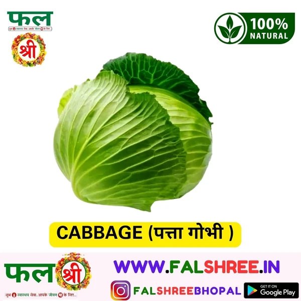 CABBAGE (पत्ता गोभी ) - 500g