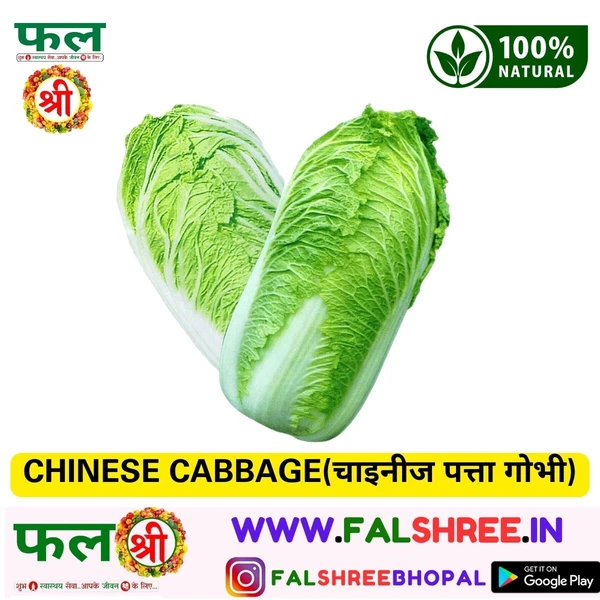 CHINESE CABBAGE(चाइनीज पत्ता गोभी) - 250