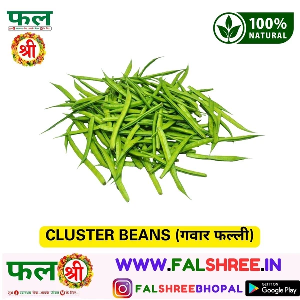 CLUSTER BEANS (गवार फल्ली) - 1KG