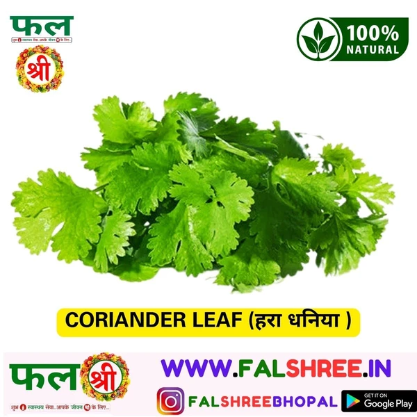 CORIANDER LEAF (हरा धनिया ) - 100g