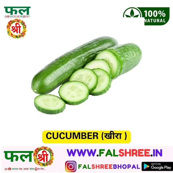 CUCUMBER (खीरा ) - 1KG