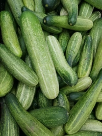 CUCUMBER (खीरा ) - 500g