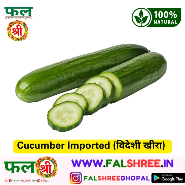 Cucumber Imported (विदेशी खीरा)  - 1KG