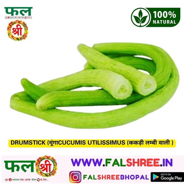 CUCUMIS UTILISSIMUS (ककड़ी लम्बी वाली )