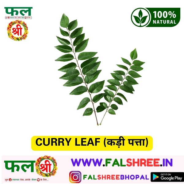 CURRY LEAF (कड़ी पत्ता) - 1