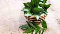 CURRY LEAF (कड़ी पत्ता) - 2