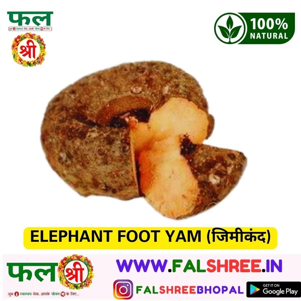 ELEPHANT FOOT YAM (जिमीकंद)
