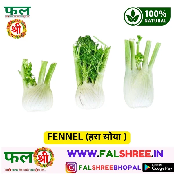 FENNEL (हरा सोया ) - 250