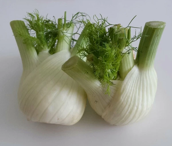 FENNEL (हरा सोया ) - 250