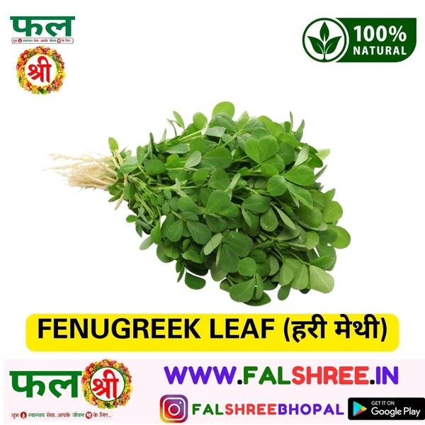 FENUGREEK LEAF (हरी मेथी)