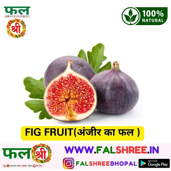 FIG FRUIT(अंजीर का फल )