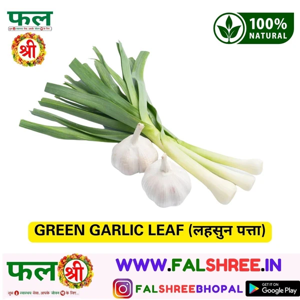 GREEN GARLIC LEAF (लहसुन पत्ता) - 1