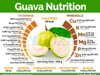 GUAVA FRUIT JUICE