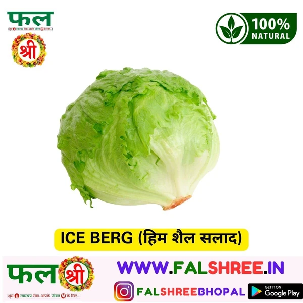 ICE BERG (हिम शैल सलाद)