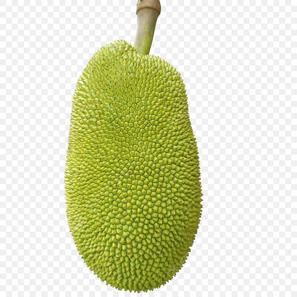 JACK FRUIT (कटहल) - 250g