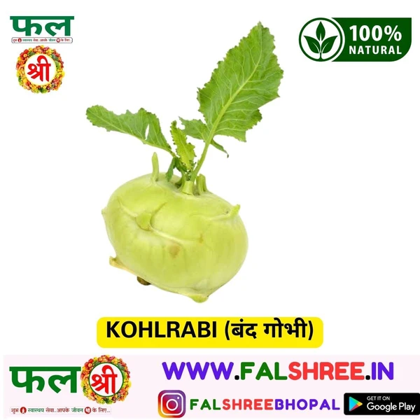 KOHLRABI  - 250