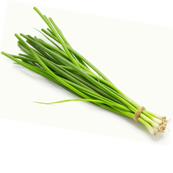 SPRING ONION (हरा प्याज )