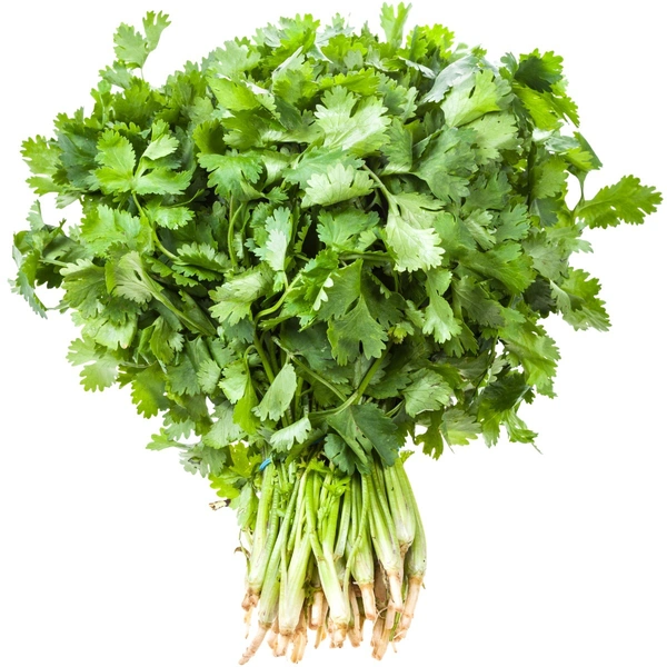 CORIANDER LEAF (हरा धनिया ) - 500g