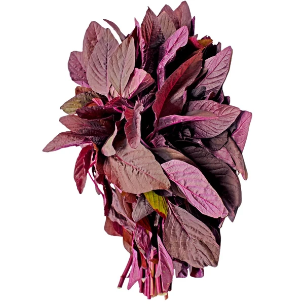 AMARANTH LEAVES (चोलाई लाल भाजी ) - 2