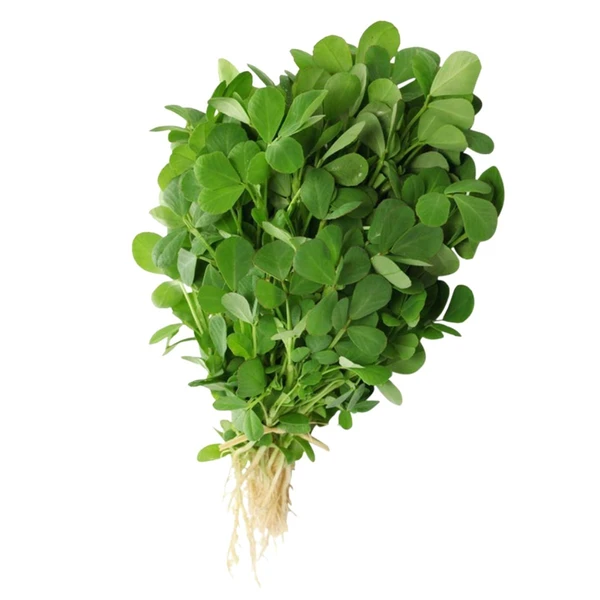 FENUGREEK LEAF (हरी मेथी)