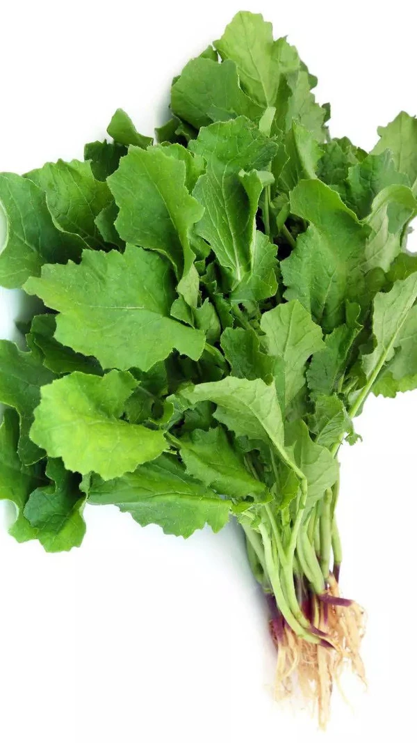 MUSTARD GREENS(सरसों पत्ता ) - 1KG