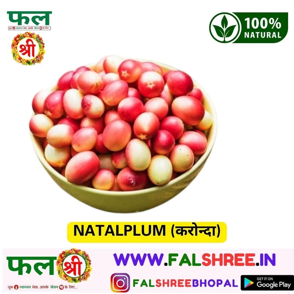 NATALPLUM (करोन्दा)