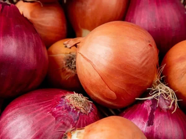 ONION NEW (प्याज नया) - 1kg