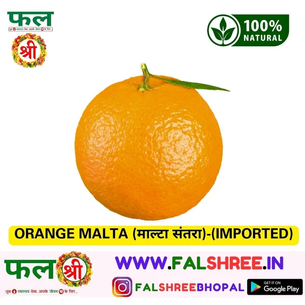 ORANGE MALTA (माल्टा संतरा)-(IMPORTED)