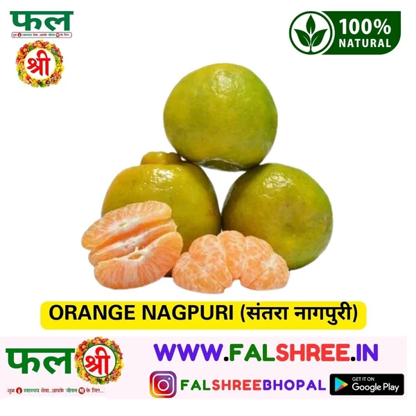 ORANGE NAGPURI ( संतरा) - 250