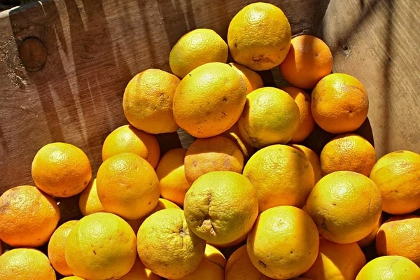 ORANGE NAGPURI ( संतरा) - 1KG