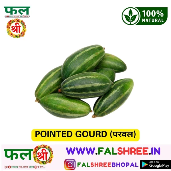 POINTED GOURD (परवल) - 500g