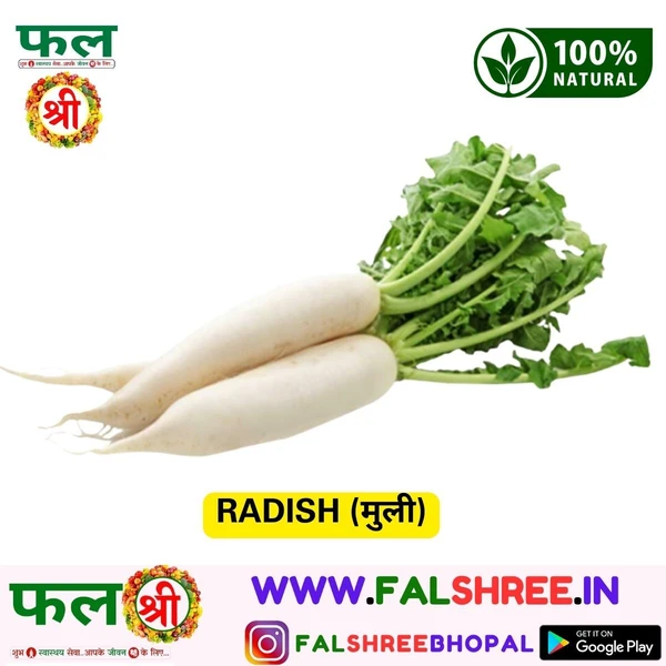 RADISH (मुली) - 5