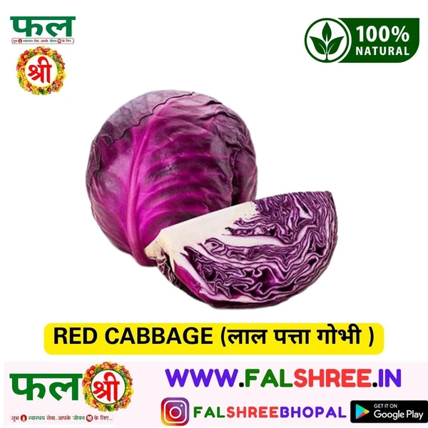 RED CABBAGE (लाल पत्ता गोभी ) - 250