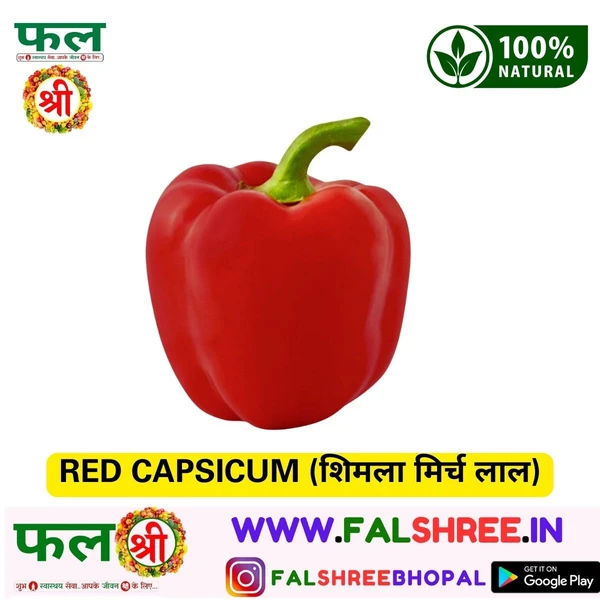 RED CAPSICUM (शिमला मिर्च लाल)