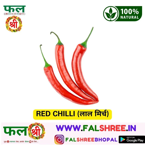 RED CHILLI (लाल मिर्च)