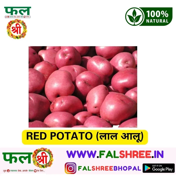 RED POTATO (लाल आलू)