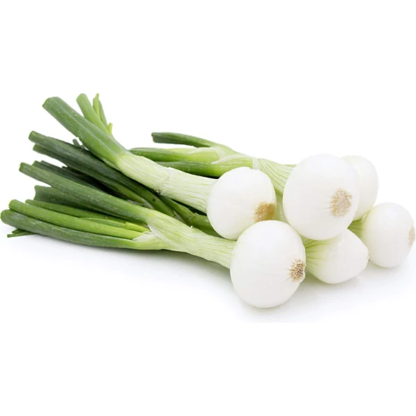 SPRING ONION (हरा प्याज )