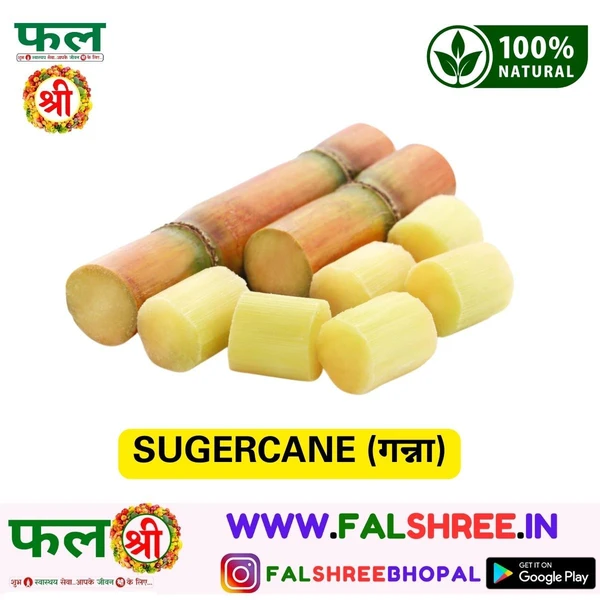 SUGERCANE (गन्ना) - 250